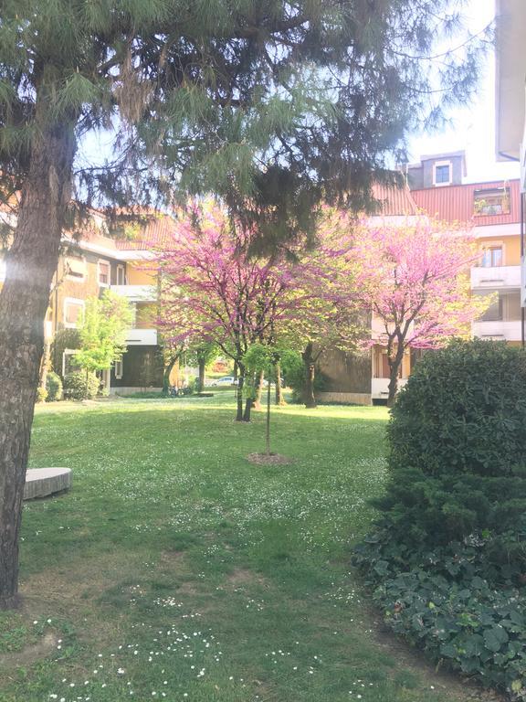Il Contrabbasso Cremona Exterior foto