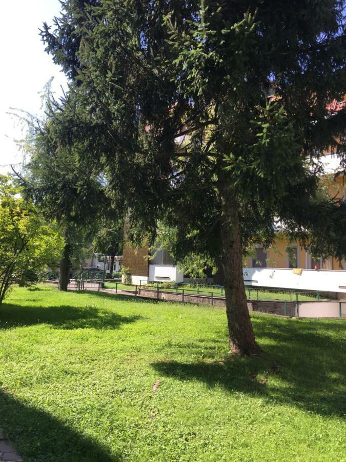 Il Contrabbasso Cremona Exterior foto